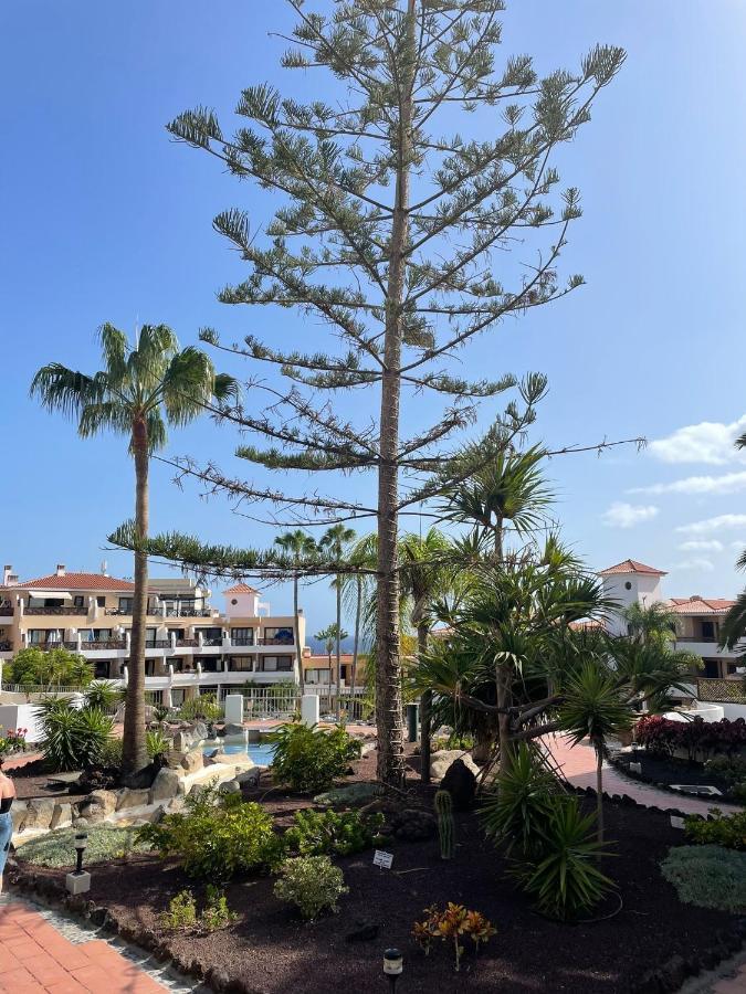 Paraiso Albatros, Beautiful Complex San Miguel de Abona Exterior foto